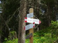 Croda da Lago - Wanderung zurück zum Ausgangspunkt