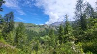 213 – Italien, Trentino, Madonna di Campiglio, Wanderung