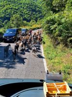 Die Straße ist für alle da