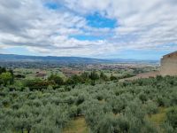 Assisi - Umbrisches Tal