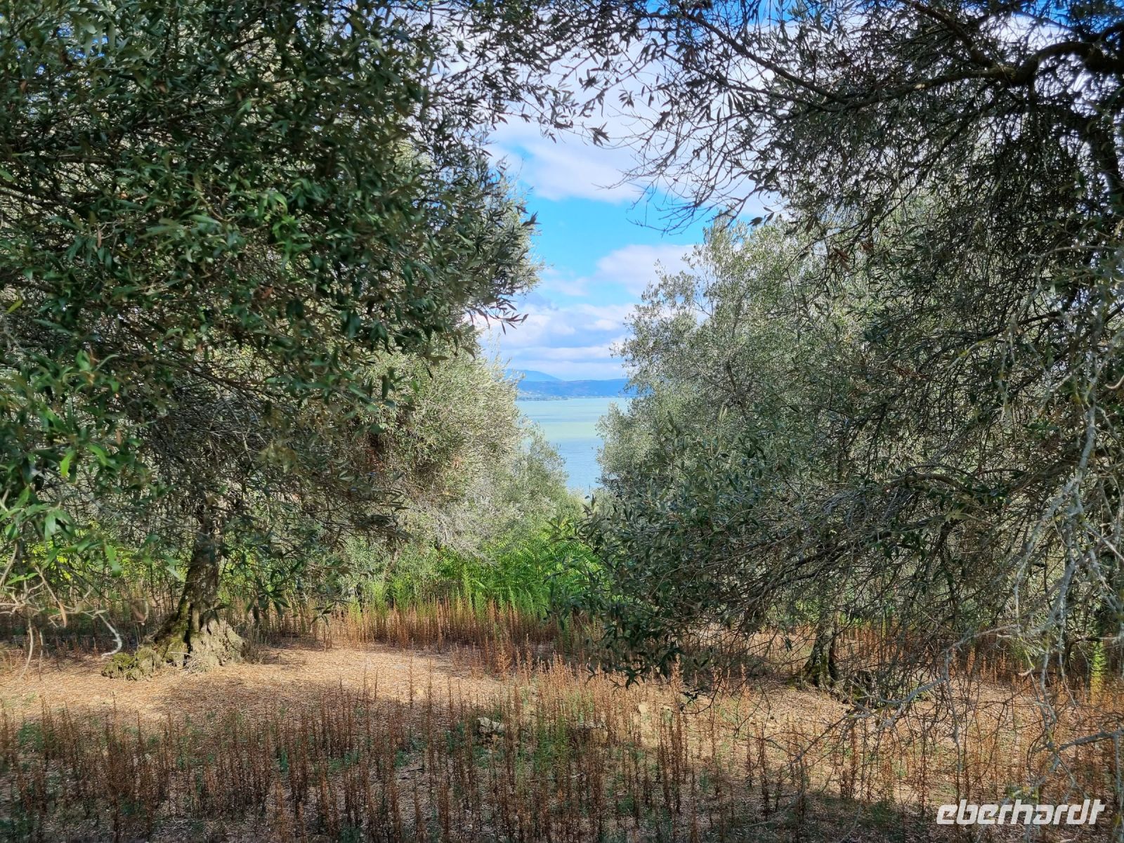 Trasimenischer See - Isola Maggiore 