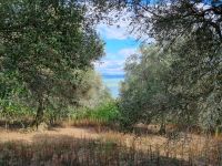 Trasimenischer See - Isola Maggiore 