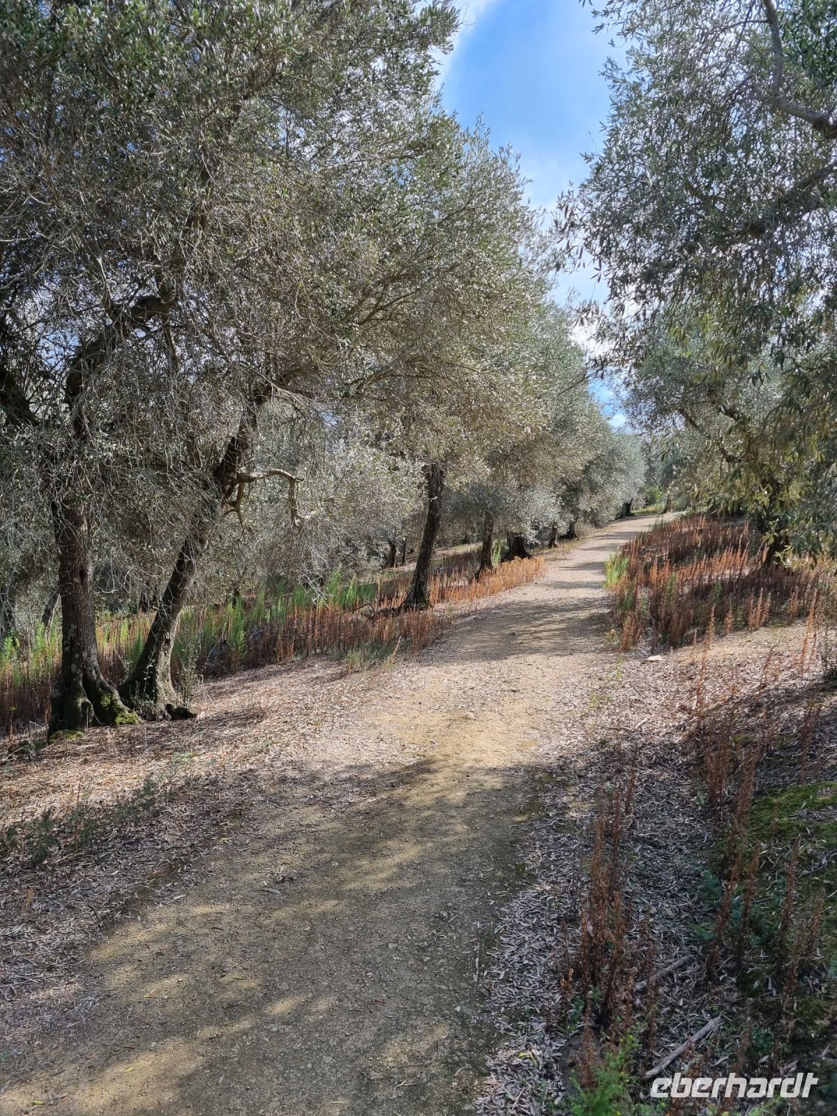 Trasimenischer See - Isola Maggiore 
