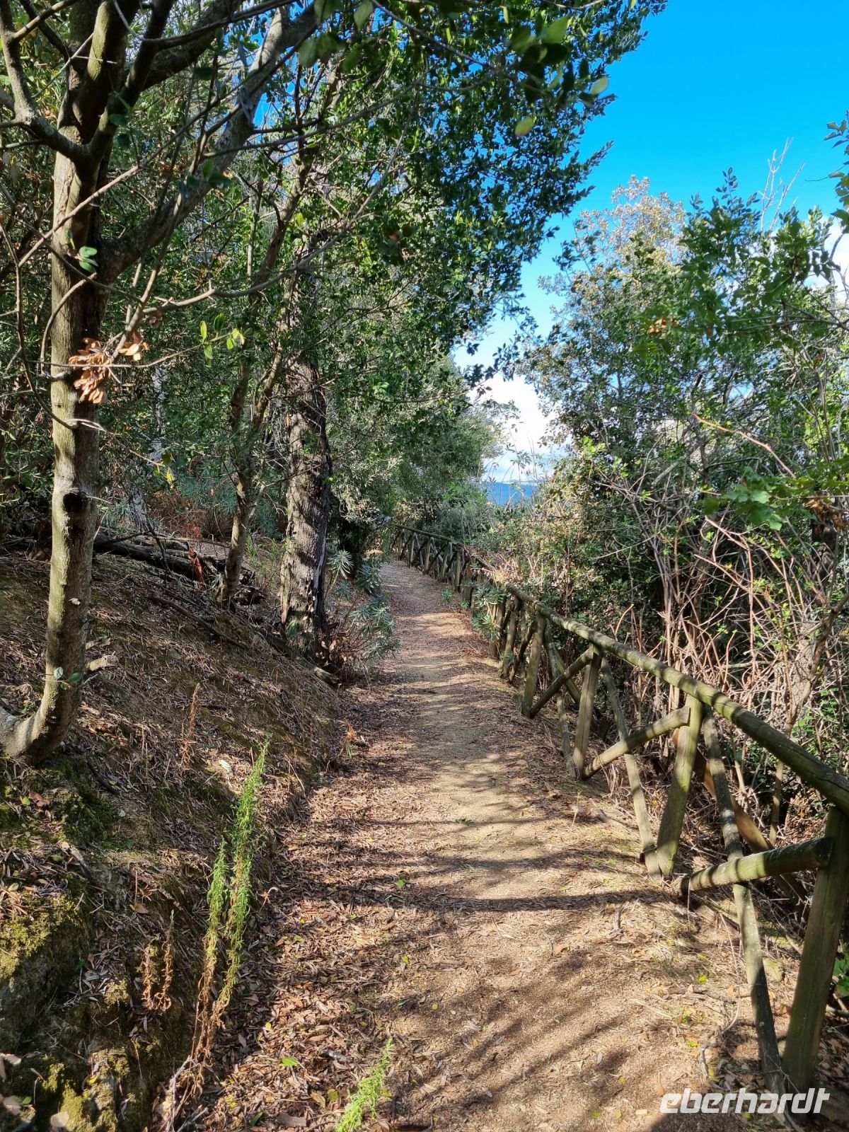 Trasimenischer See - Isola Maggiore 