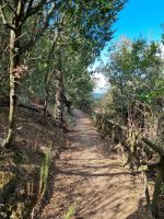 Trasimenischer See - Isola Maggiore 