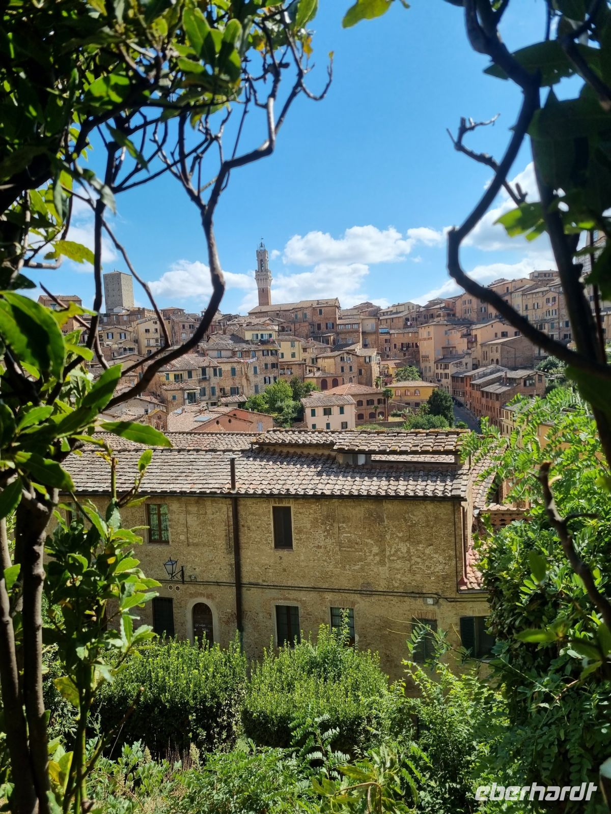 Siena
