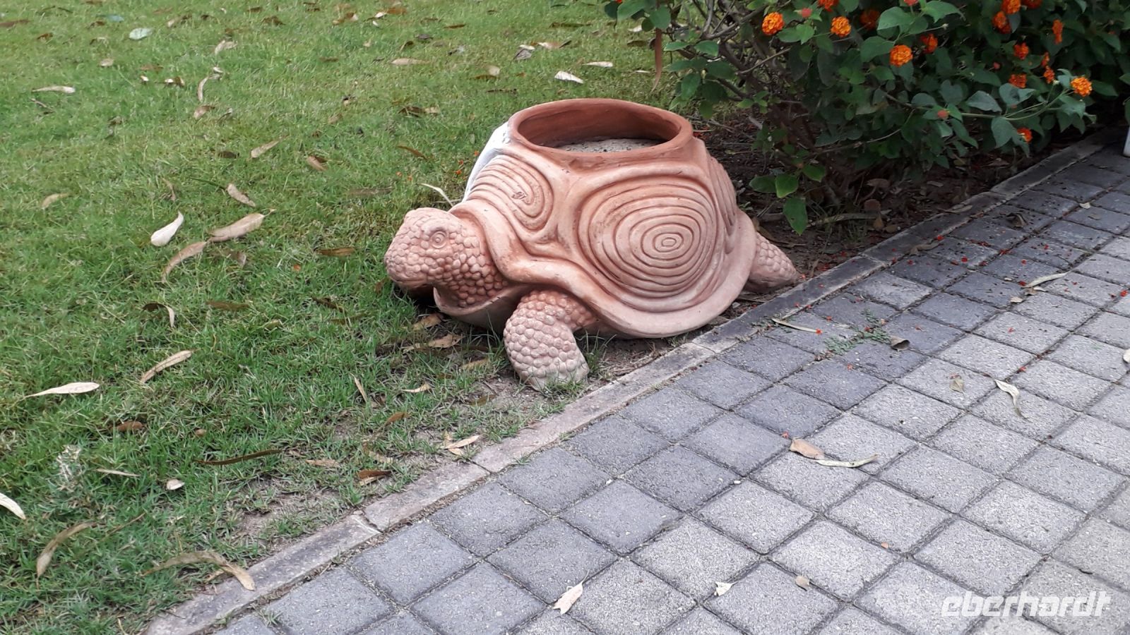 An der Rezeption im Hotel Garden Beach