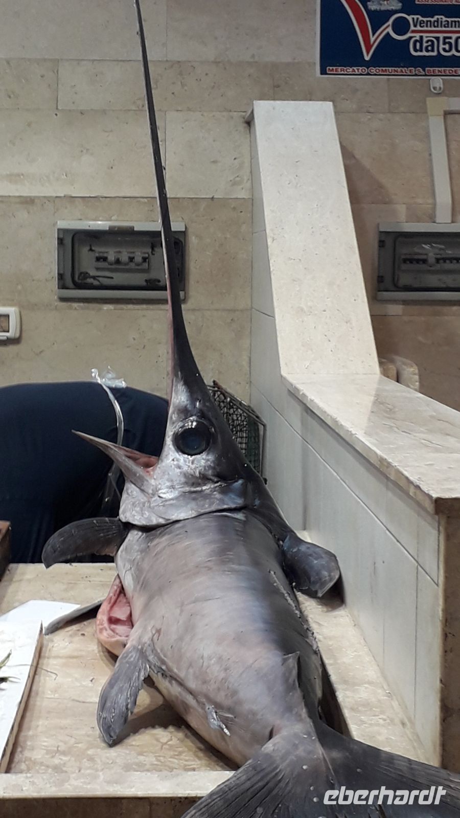 Der Fang des Tages - der Schwertfisch