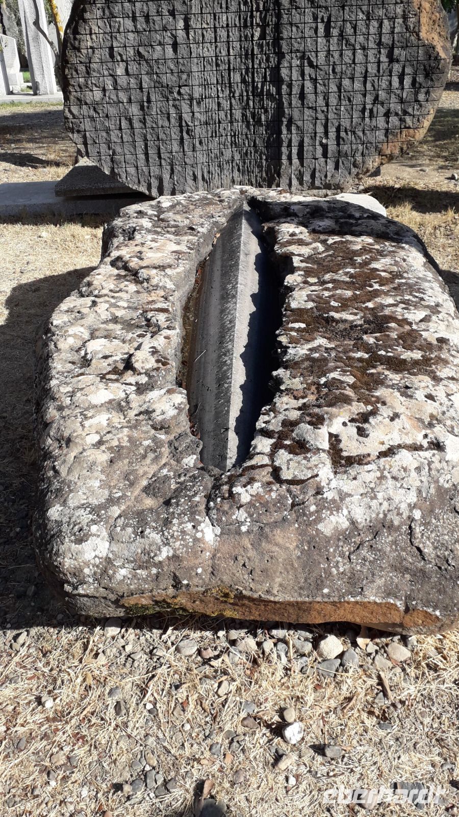 Samen-Steine von Pinuccio Sciola