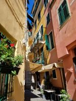 Cinque Terre - Monterosso (Altstadt)