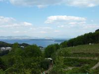 Zur Greifen nah-Golf von Neapel