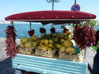 Herzlich Willkommen auf der Zitroneninsel Ischia