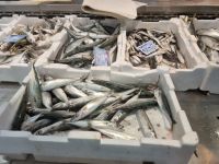 Florenz - Zentralmarkt (Mercato Centrale)