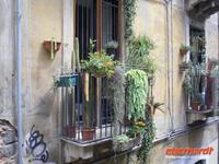 Stadtführung Catania