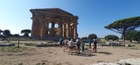 Poseidon Tempel in Paestum