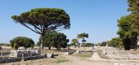 Paestum Ausgrabungsgelände
