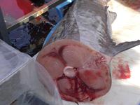 Marktbesuch in Catania