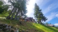 215 – Italien, Trentino, Madonna di Campiglio, Wanderung