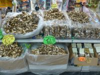  Getrocknete Pilze ….