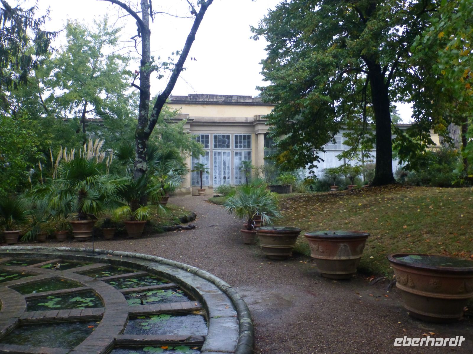 In dem Rondell fühlen sich Wasserpflanzen wohl.