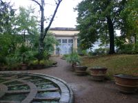 In dem Rondell fühlen sich Wasserpflanzen wohl.