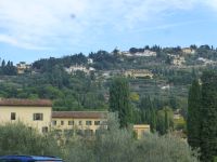 Weitläufige Grundstücke