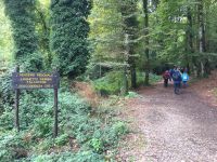 IMG 2579, Wanderung in der Foresta Umbra