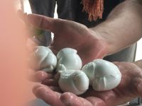 IMG 0213, und fertig ist der Mozzarella