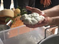 IMG 0219, eine treccia oder geflochtener Mozzarella