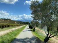 Am Rande von Ajaccio