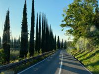 an der Villa Pellegrini Cipolla