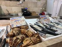 Fischers Francesco fischt frische Fische.