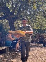 Sardisches Brot- Pane Guttiau