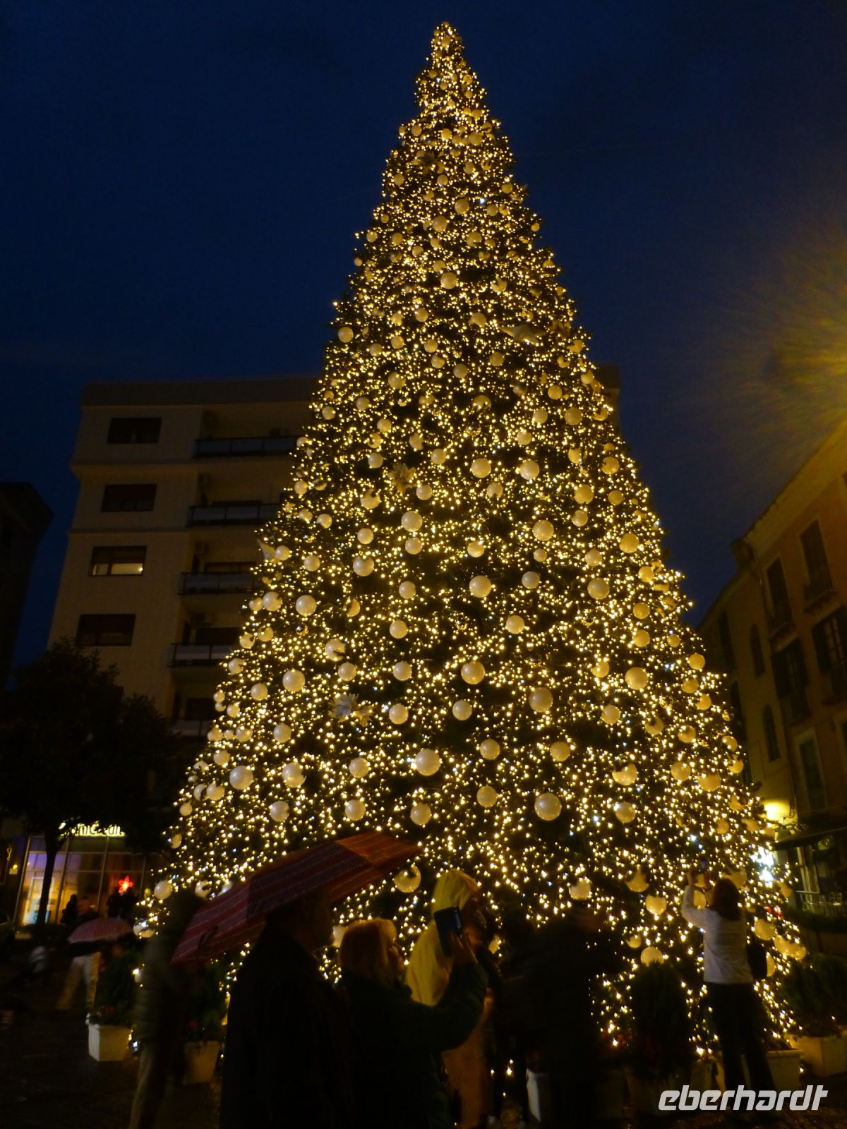 Im Mittelpunkt steht dieser hohe Baum mit seinem Kleid aus Lichtern.