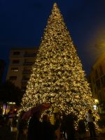 Im Mittelpunkt steht dieser hohe Baum mit seinem Kleid aus Lichtern.