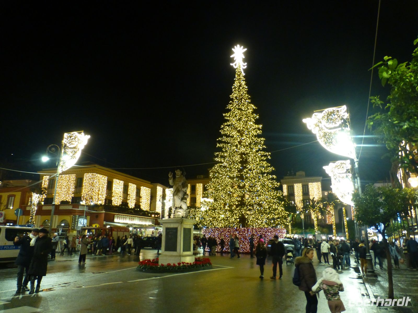 Unser Baum in Sorrent ist auch schön.