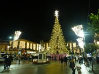 Unser Baum in Sorrent ist auch schön.