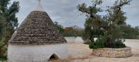 Trullo Trulli bei Frantoio Apulien @Anette Rietz