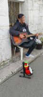 Straßenmusiker Alberobello