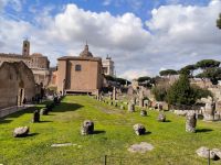 Rom Forum Romanum - Blick zur Curia