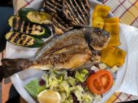 Rom Fisch zum Abschied