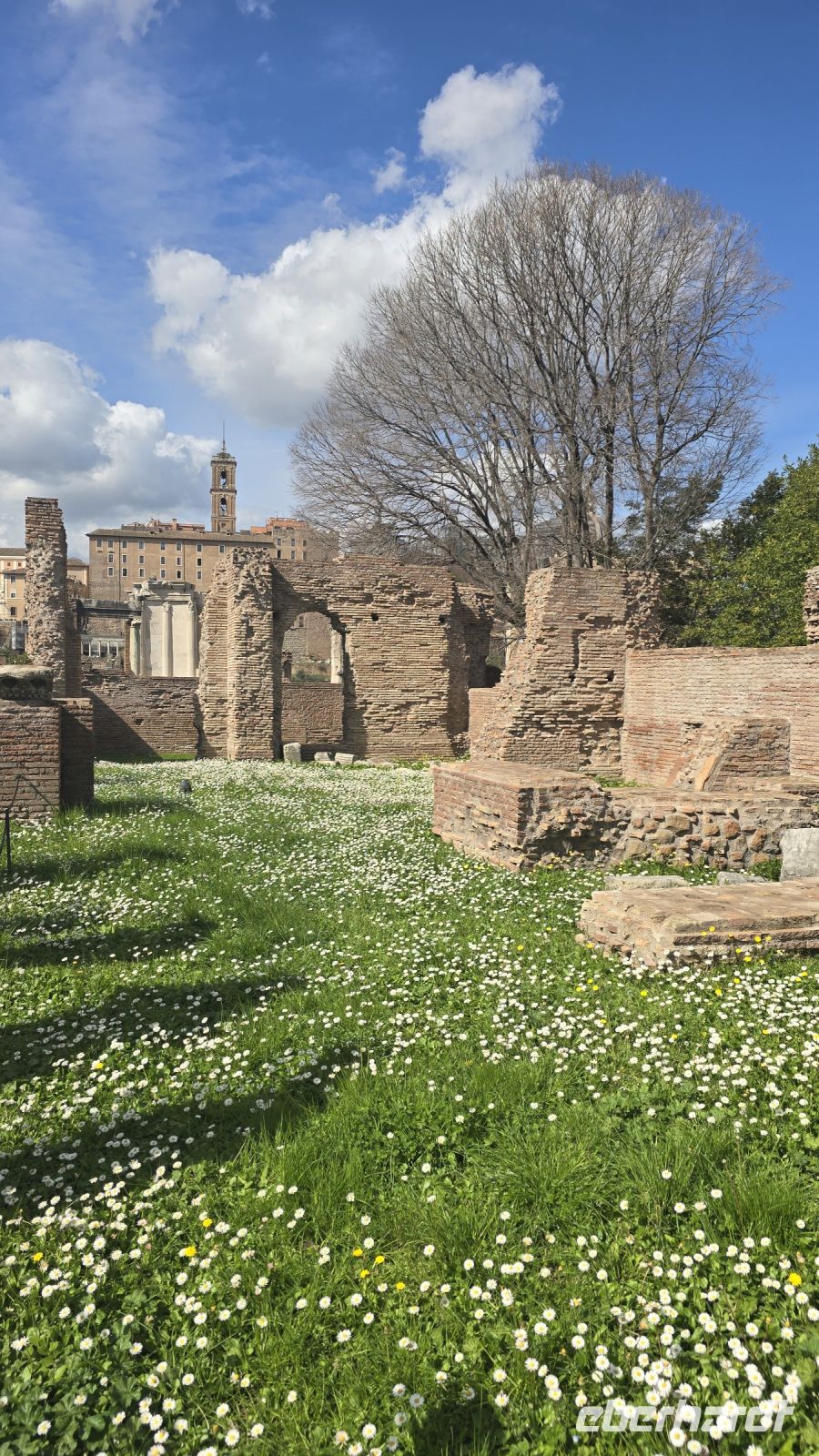 Frühling im antiken Rom 