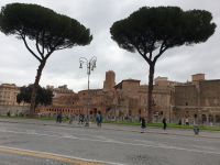 001 Rom, Trajansforum und Via dei Fori Imperiali,18.3.24