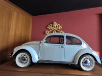 Rom. Vatikanische Museen. Der letzte Käfer aus Mexiko