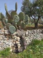 Wanderung Valle D´Itria