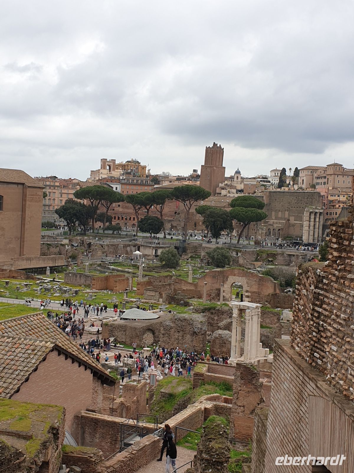003 Rom, Forum Romanum, dahinter Trajansforum, 18.3.24