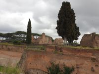 007 Rom, Palatin, 18.3.24