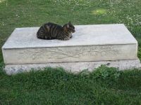 protestantischer Friedhof und seine 4beinigen Bewohner