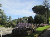 Vatikanische Gärten