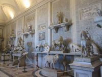 Vatikanische Museen: Tierausstellung